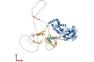 AlphaFold protein structure predicition of Mouse Recombinant Hnrnpul2 Protein, UniprotID Q00PI9 (HNRNPUL2 Protein (AA 1-745) (His tag))