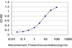 Detection limit for recombinant GST tagged BTBD1 is approximately 0. (BTBD1 antibody  (AA 384-482))