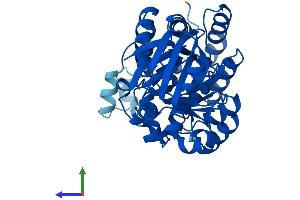 AlphaFold protein structure predicition of Mouse Recombinant Amdhd1 Protein, UniprotID Q9DBA8