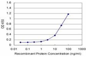 Detection limit for recombinant GST tagged CDC42BPB is approximately 1ng/ml as a capture antibody. (CDC42BPB antibody  (AA 1580-1679))