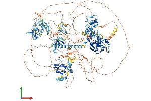 AlphaFold protein structure predicition of Human Recombinant NSD3 Protein, UniprotID Q9BZ95 (WHSC1L1 Protein (AA 1-1437) (His tag))