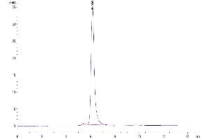 Size-exclusion chromatography-High Pressure Liquid Chromatography (SEC-HPLC) image for Angiopoietin-Like 4 (ANGPTL4) (AA 166-406) protein (His tag) (ABIN7273833)
