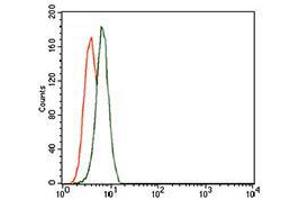 Flow cytometric analysis of K562 cells using TRIP6 mouse mAb (green) and negative control (red). (TRIP6 antibody  (AA 107-291))