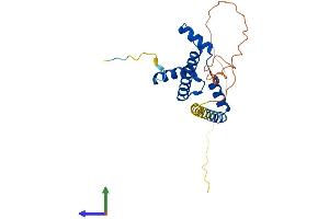 Protein Structure (PS) image for TATA Box Binding Protein Associated Factor 11 (TAF11) (AA 1-211) protein (His tag) (ABIN7560324)