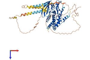 AlphaFold protein structure predicition of Human Recombinant PTPN5 Protein, UniprotID P54829 (PTPN5 Protein (AA 1-565) (His tag))