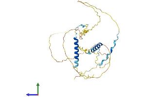AlphaFold protein structure predicition of Mouse Recombinant Prr18 Protein, UniprotID Q6PAN7 (Proline Rich 18 Protein (PRR18) (AA 1-307) (His tag))
