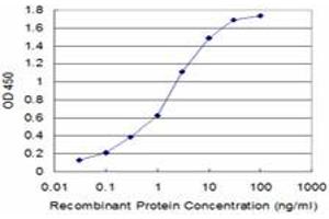 Detection limit for recombinant GST tagged USP9X is approximately 0. (USP9X antibody  (AA 1-90))