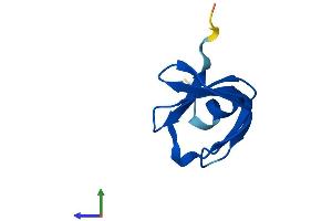 AlphaFold protein structure predicition of Mouse Recombinant Lsm6 Protein, UniprotID P62313