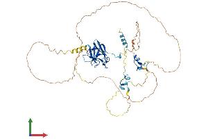 AlphaFold protein structure predicition of Mouse Recombinant Aplf Protein, UniprotID Q9D842 (APLF Protein (AA 1-499) (His tag))