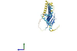 Protein Structure (PS) image for Activator of Basal Transcription 1 (Abt1) (AA 1-269) protein (His tag) (ABIN7561798)