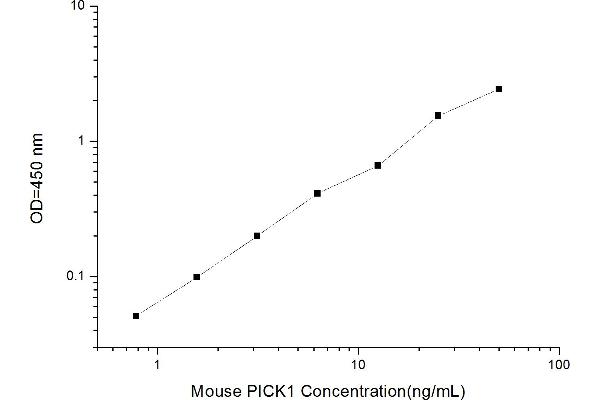 PICK1 ELISA Kit