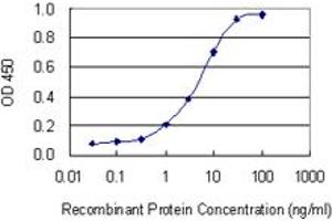 Detection limit for recombinant GST tagged ITPKB is 0. (ITPKB antibody  (AA 545-643))