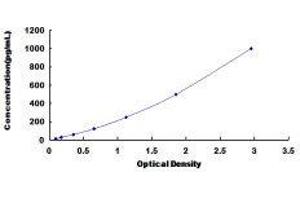 Tumor Necrosis Factor Receptor Superfamily, Member 18 (TNFRSF18) ELISA Kit