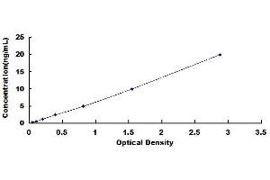 Typical standard curve (SLC40A1 ELISA Kit)