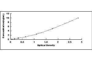 Typical standard curve (CD99 ELISA Kit)