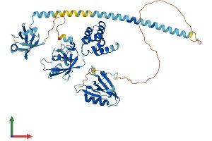 AlphaFold protein structure predicition of Human Recombinant USH1C Protein, UniprotID Q9Y6N9 (USH1C Protein (AA 1-552) (His tag))