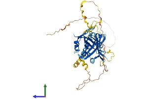 Protein Structure (PS) image for TEA Domain Family Member 2 (TEAD2) (AA 1-445) protein (His tag) (ABIN7563307)