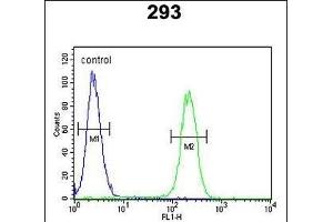 Roundabout 4 Antibody (N-term) (ABIN651292 and ABIN2840173) flow cytometric analysis of 293 cells (right histogram) compared to a negative control cell (left histogram). (ROBO4 antibody  (N-Term))