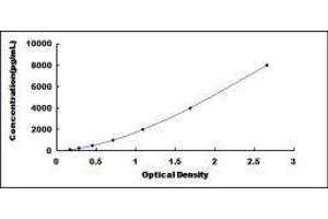 ELISA image for Myosin, Light Chain 1, Alkali, Skeletal, Fast (MYL1) ELISA Kit (ABIN417303)