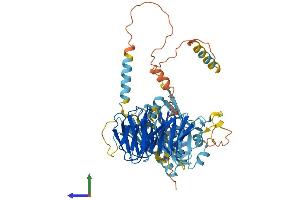 Protein Structure (PS) image for TAF5-Like RNA Polymerase II, P300/CBP-Associated Factor (PCAF)-Associated Factor, 65kDa (TAF5L) (AA 1-589) protein (His tag) (ABIN7544227)