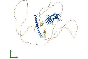 AlphaFold protein structure predicition of Mouse Recombinant Rab11fip2 Protein, UniprotID G3XA57
