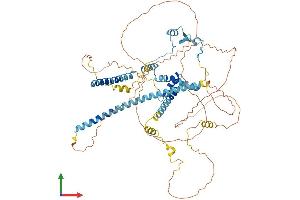 AlphaFold protein structure predicition of Human Recombinant CLASRP Protein, UniprotID Q8N2M8