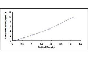 Typical standard curve (BPIFA2 ELISA Kit)