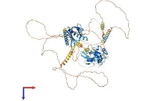 AlphaFold protein structure predicition of Mouse Recombinant Apba1 Protein, UniprotID B2RUJ5 (APBA1 Protein (AA 1-842) (His tag))