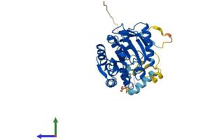 AlphaFold protein structure predicition of Human Recombinant CAMKMT Protein, UniprotID Q7Z624 (Calmodulin-Lysine N-Methyltransferase (CAMKMT) (AA 1-323) protein (His tag))