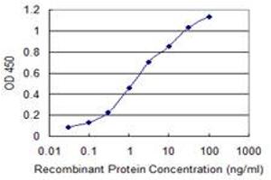 Detection limit for recombinant GST tagged CHIT1 is 0. (Chitotriosidase 1 antibody  (AA 60-169))