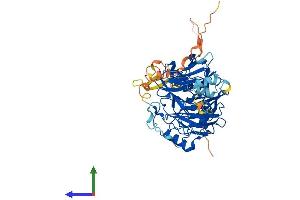 AlphaFold protein structure predicition of Mouse Recombinant Dcaf11 Protein, UniprotID Q91VU6