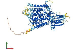 Protein Structure (PS) image for Phosphatidylinositol Glycan Anchor Biosynthesis, Class Z (PIGZ) (AA 1-579) protein (His tag) (ABIN7555020)