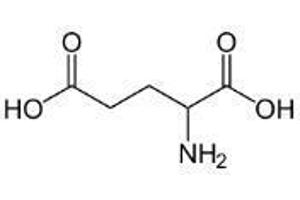 Image no. 2 for Glutamic Acid peptide (BSA) (ABIN5665972) (Glutamic Acid peptide (BSA))