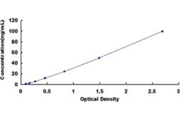 CPA1 ELISA Kit