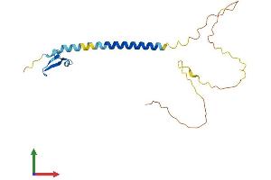 AlphaFold protein structure predicition of Human Recombinant TNFRSF17 Protein, UniprotID Q02223 (BCMA Protein (AA 1-184) (His tag))