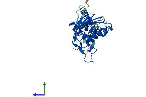 AlphaFold protein structure predicition of Human Recombinant MITD1 Protein, UniprotID Q8WV92