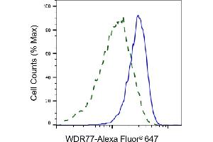 Validation of WDR77 knockdown using flow cytometry. (WDR77 antibody)