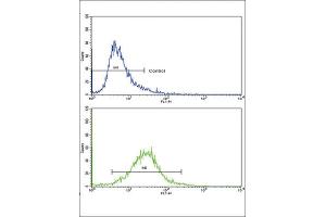 Flow Cytometry (FACS) image for anti-Collagen, Type VI, alpha 1 (COL6A1) antibody (ABIN3002699) (COL6A1 antibody)