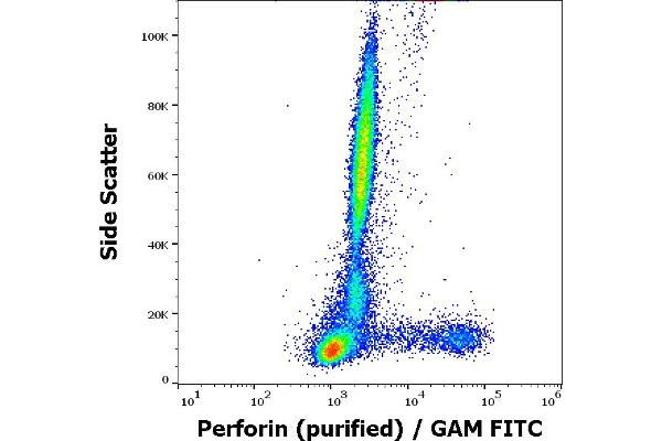 Perforin 1 antibody