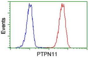 Image no. 3 for anti-Protein tyrosine Phosphatase, Non-Receptor Type 11 (PTPN11) antibody (ABIN1500499) (PTPN11 antibody)