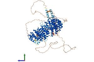 Protein Structure (PS) image for Protein Phosphatase 4, Regulatory Subunit 1 (PPP4R1) (AA 1-950) protein (His tag) (ABIN7555017)