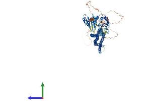 AlphaFold protein structure predicition of Human Recombinant STK10 Protein, UniprotID O94804 (STK10-A Protein (AA 1-968) (His tag))