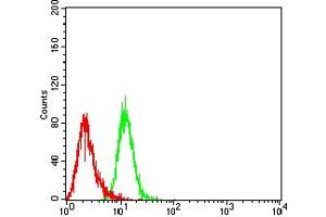 Flow cytometric analysis of Hela cells using BCL2L2 mouse mAb (green) and negative control (red). (BCL2L2 antibody  (AA 6-118))