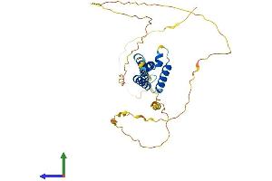 Protein Structure (PS) image for Hairy/enhancer-of-Split Related with YRPW Motif-Like (HEYL) (AA 1-328) protein (His tag) (ABIN7548243)