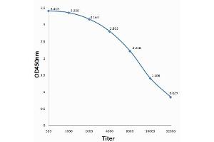 Antigen: 0. (VEGFA antibody  (AA 141-180))