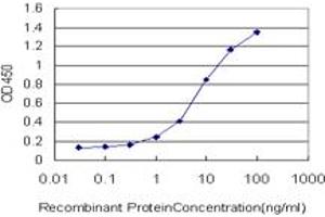 Detection limit for recombinant GST tagged HDAC1 is approximately 0. (HDAC1 antibody  (AA 1-482))
