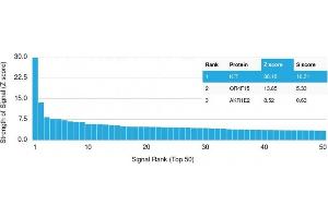 Protein Array (PAr) image for anti-Mast/stem Cell Growth Factor Receptor (KIT) antibody (ABIN6939851)
