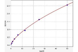 Typical standard curve (ERK1/2 ELISA Kit)