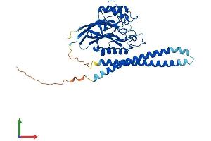 AlphaFold protein structure predicition of Human Recombinant SMPD2 Protein, UniprotID O60906