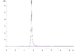The purity of Human EGFR/HER1 is greater than 95 % as determined by SEC-HPLC. (EGFR Protein (AA 25-645) (Fc Tag))